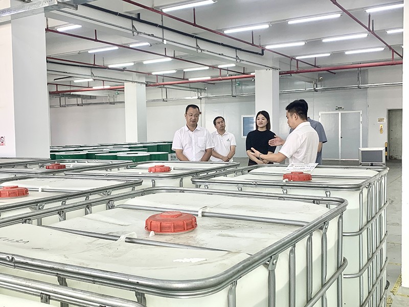 政企连心·共促发展|东莞市东城区政府领导莅临星空电竞新材参观指导